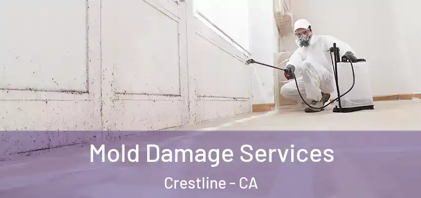  Mold Damage Services Crestline - CA