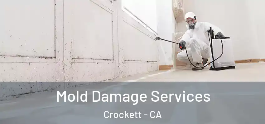  Mold Damage Services Crockett - CA