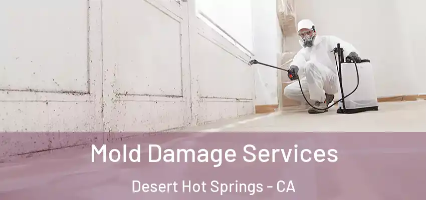  Mold Damage Services Desert Hot Springs - CA
