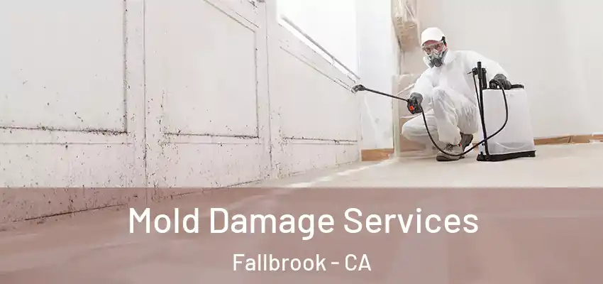 Mold Damage Services Fallbrook - CA
