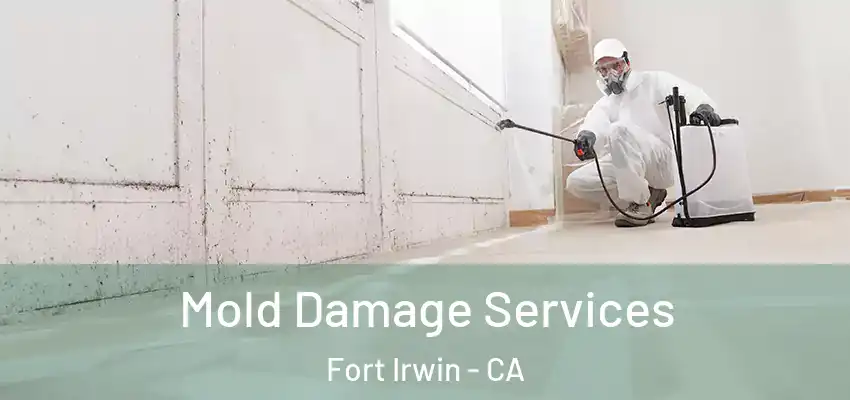  Mold Damage Services Fort Irwin - CA