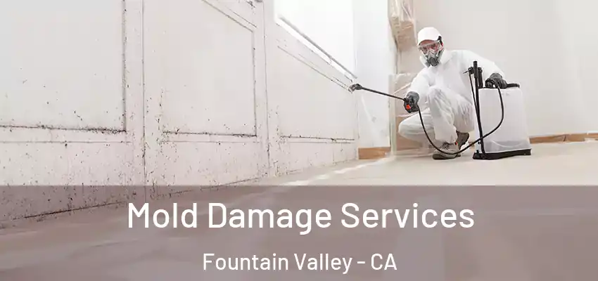  Mold Damage Services Fountain Valley - CA