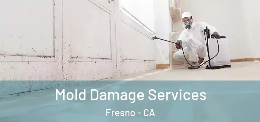Mold Damage Services Fresno - CA
