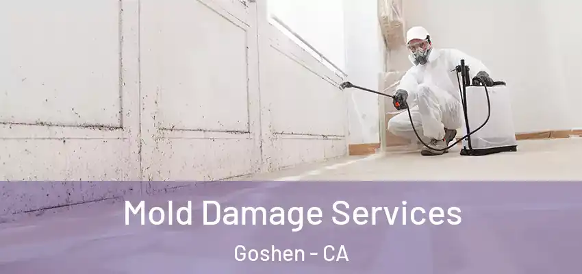  Mold Damage Services Goshen - CA