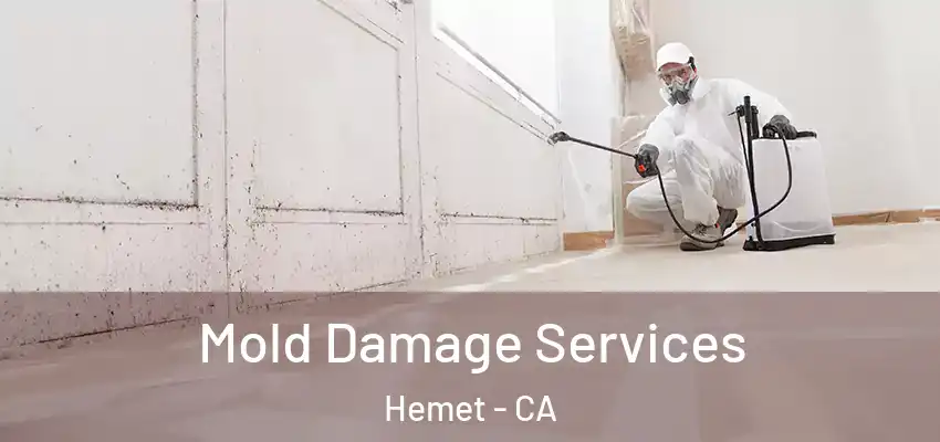  Mold Damage Services Hemet - CA