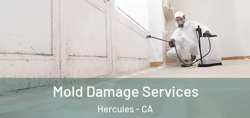  Mold Damage Services Hercules - CA