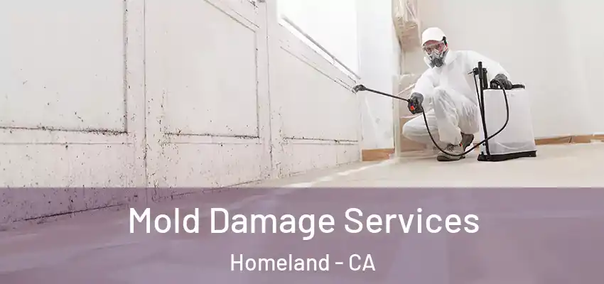 Mold Damage Services Homeland - CA