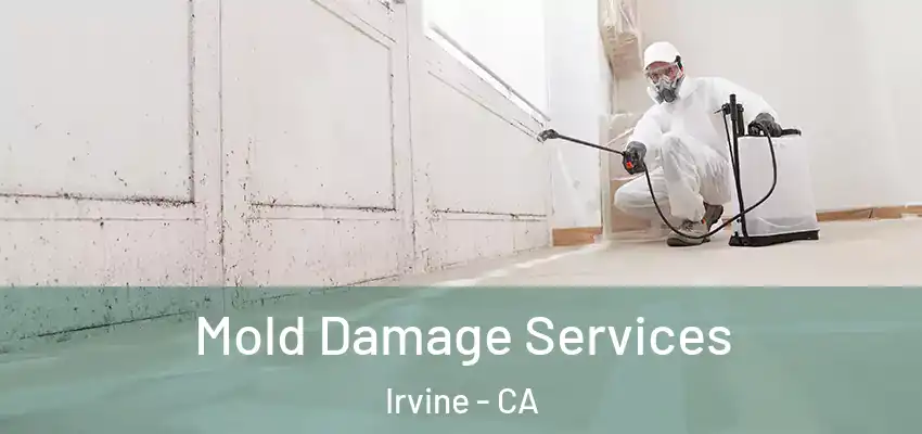  Mold Damage Services Irvine - CA