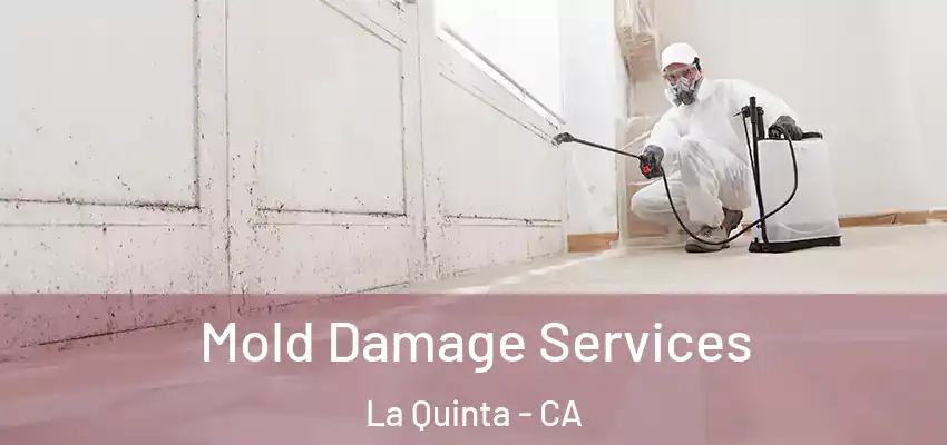  Mold Damage Services La Quinta - CA