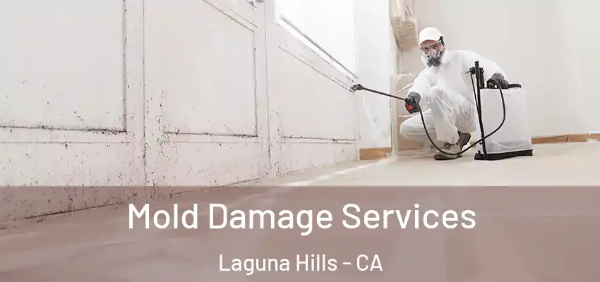 Mold Damage Services Laguna Hills - CA