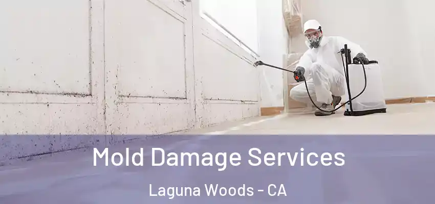  Mold Damage Services Laguna Woods - CA