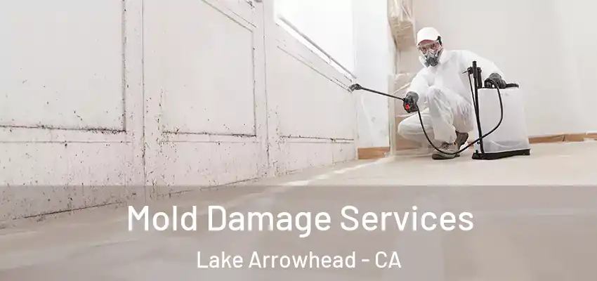  Mold Damage Services Lake Arrowhead - CA