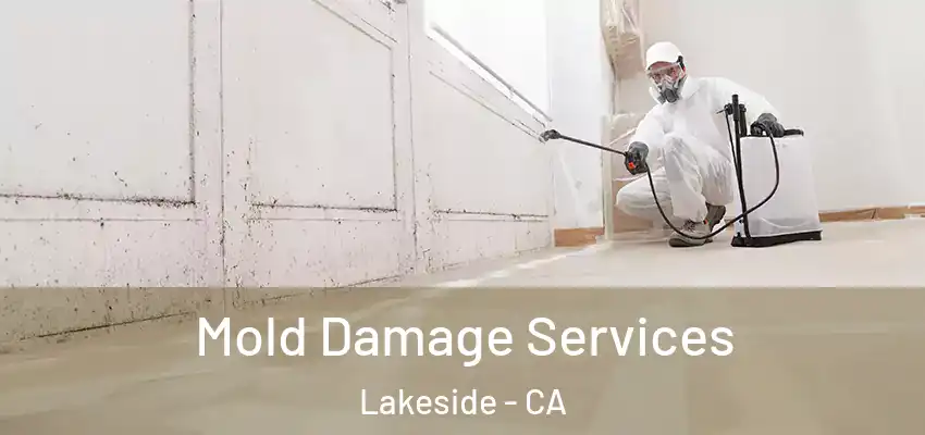  Mold Damage Services Lakeside - CA