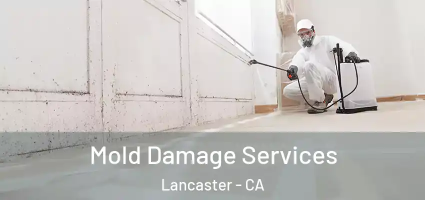  Mold Damage Services Lancaster - CA