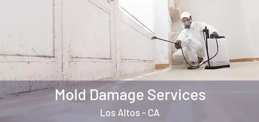  Mold Damage Services Los Altos - CA