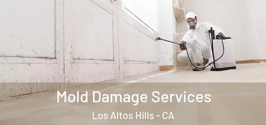  Mold Damage Services Los Altos Hills - CA