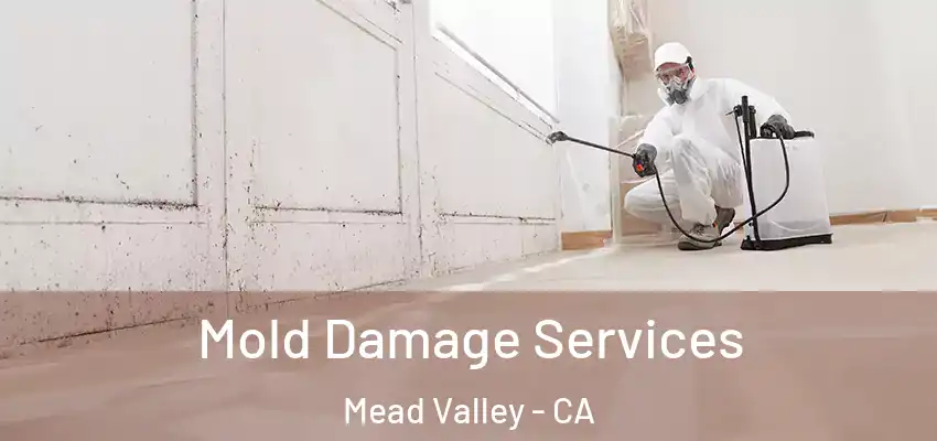 Mold Damage Services Mead Valley - CA