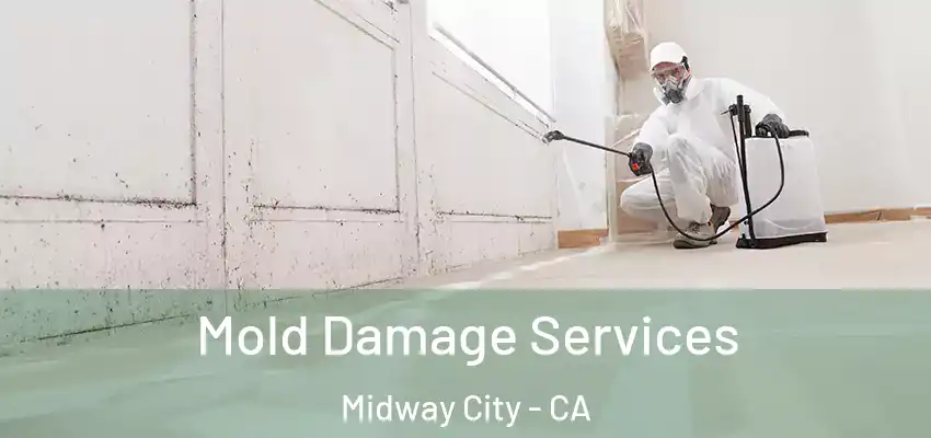 Mold Damage Services Midway City - CA