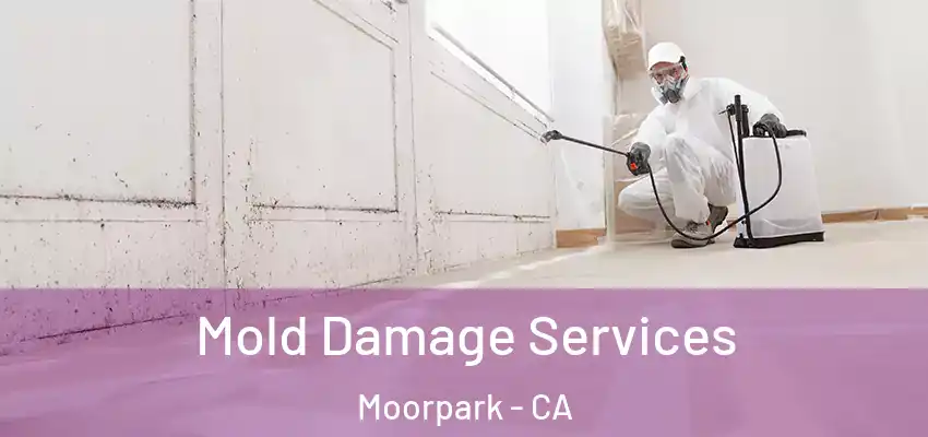  Mold Damage Services Moorpark - CA