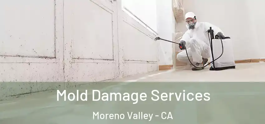 Mold Damage Services Moreno Valley - CA