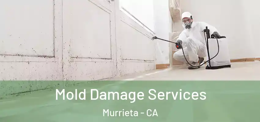  Mold Damage Services Murrieta - CA
