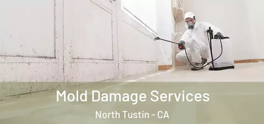 Mold Damage Services North Tustin - CA