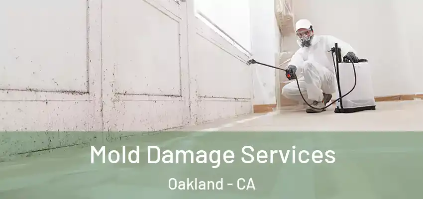  Mold Damage Services Oakland - CA