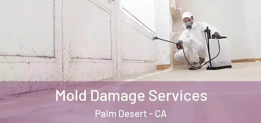  Mold Damage Services Palm Desert - CA