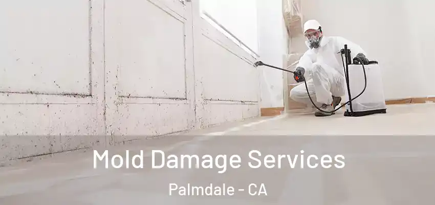 Mold Damage Services Palmdale - CA