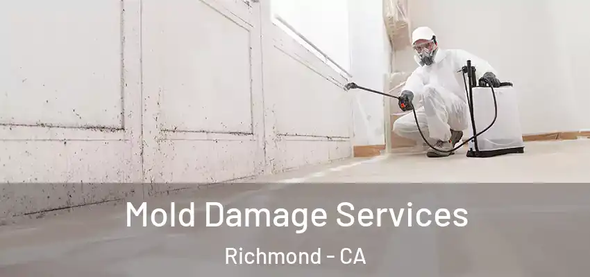  Mold Damage Services Richmond - CA