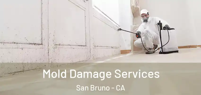 Mold Damage Services San Bruno - CA