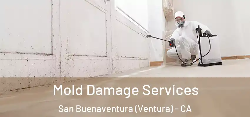  Mold Damage Services San Buenaventura (Ventura) - CA