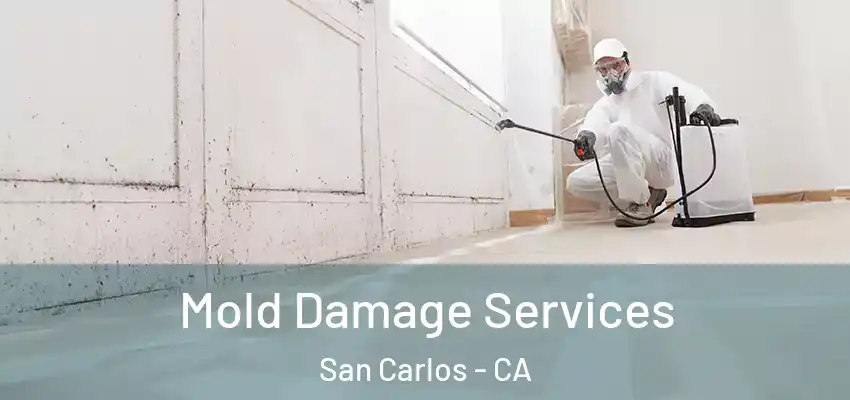  Mold Damage Services San Carlos - CA