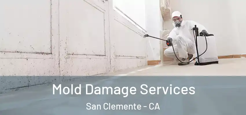 Mold Damage Services San Clemente - CA