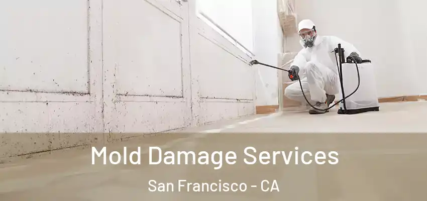 Mold Damage Services San Francisco - CA