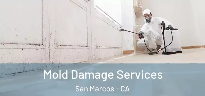  Mold Damage Services San Marcos - CA
