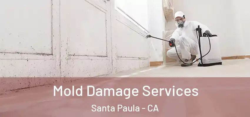 Mold Damage Services Santa Paula - CA