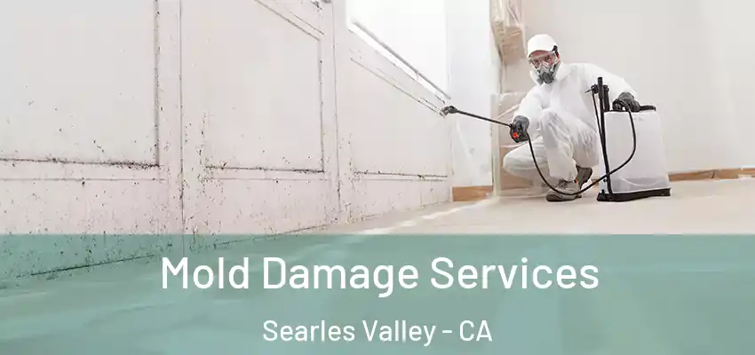  Mold Damage Services Searles Valley - CA