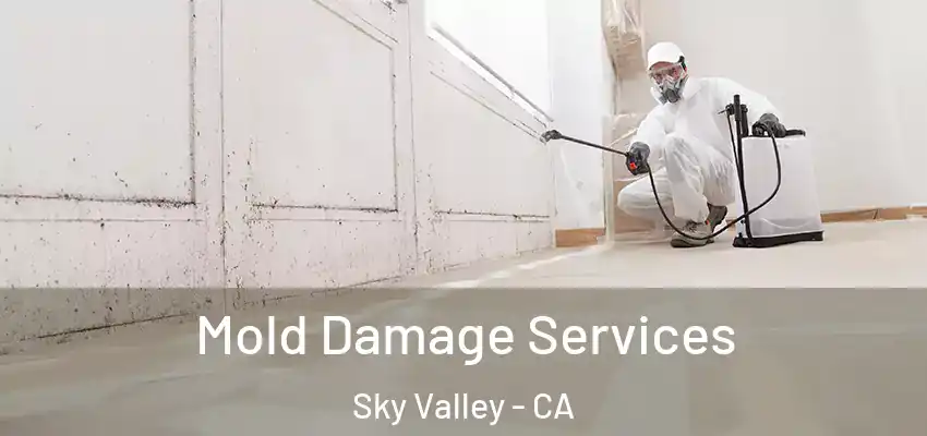  Mold Damage Services Sky Valley - CA