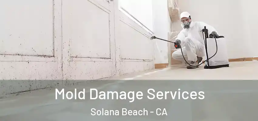 Mold Damage Services Solana Beach - CA