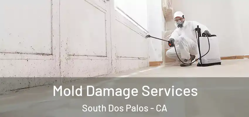  Mold Damage Services South Dos Palos - CA