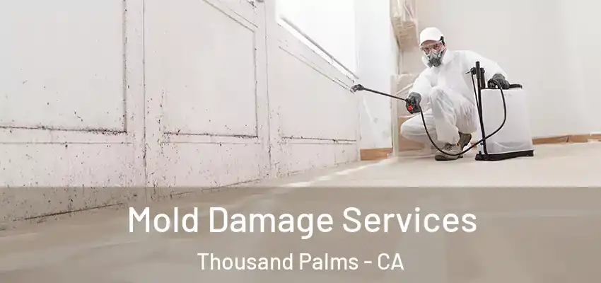  Mold Damage Services Thousand Palms - CA