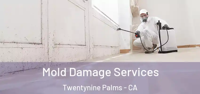  Mold Damage Services Twentynine Palms - CA