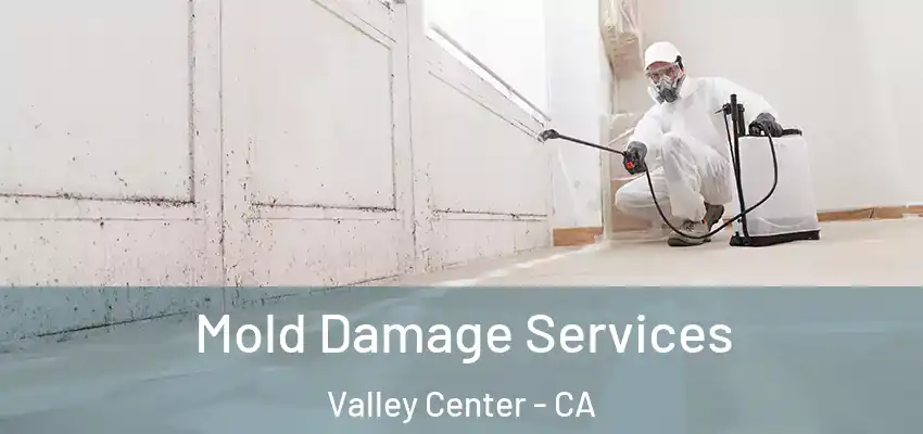  Mold Damage Services Valley Center - CA
