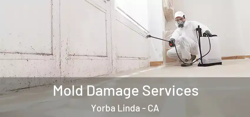  Mold Damage Services Yorba Linda - CA