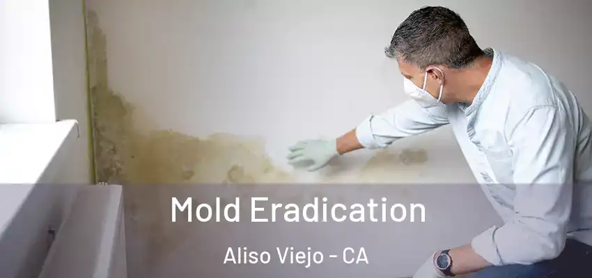  Mold Eradication Aliso Viejo - CA