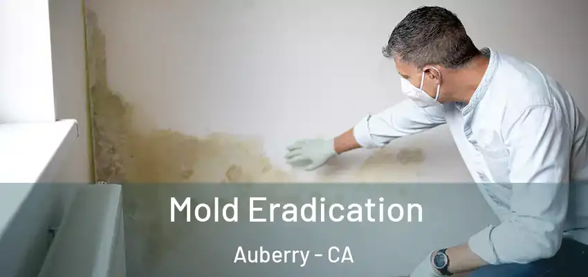 Mold Eradication Auberry - CA