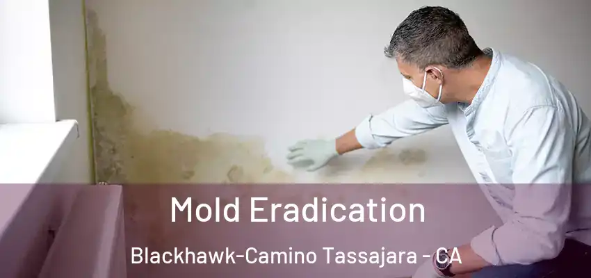  Mold Eradication Blackhawk-Camino Tassajara - CA