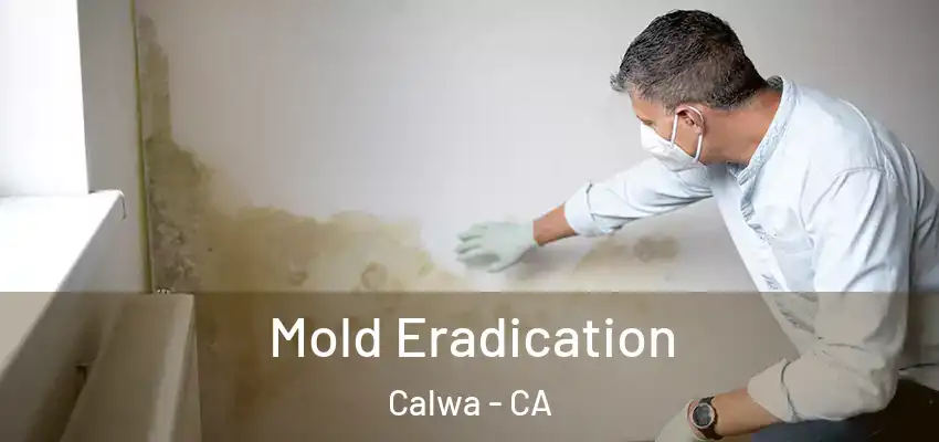 Mold Eradication Calwa - CA