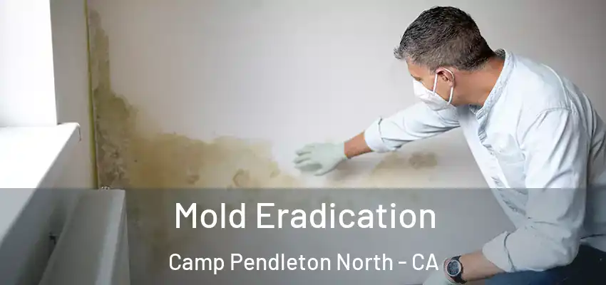  Mold Eradication Camp Pendleton North - CA
